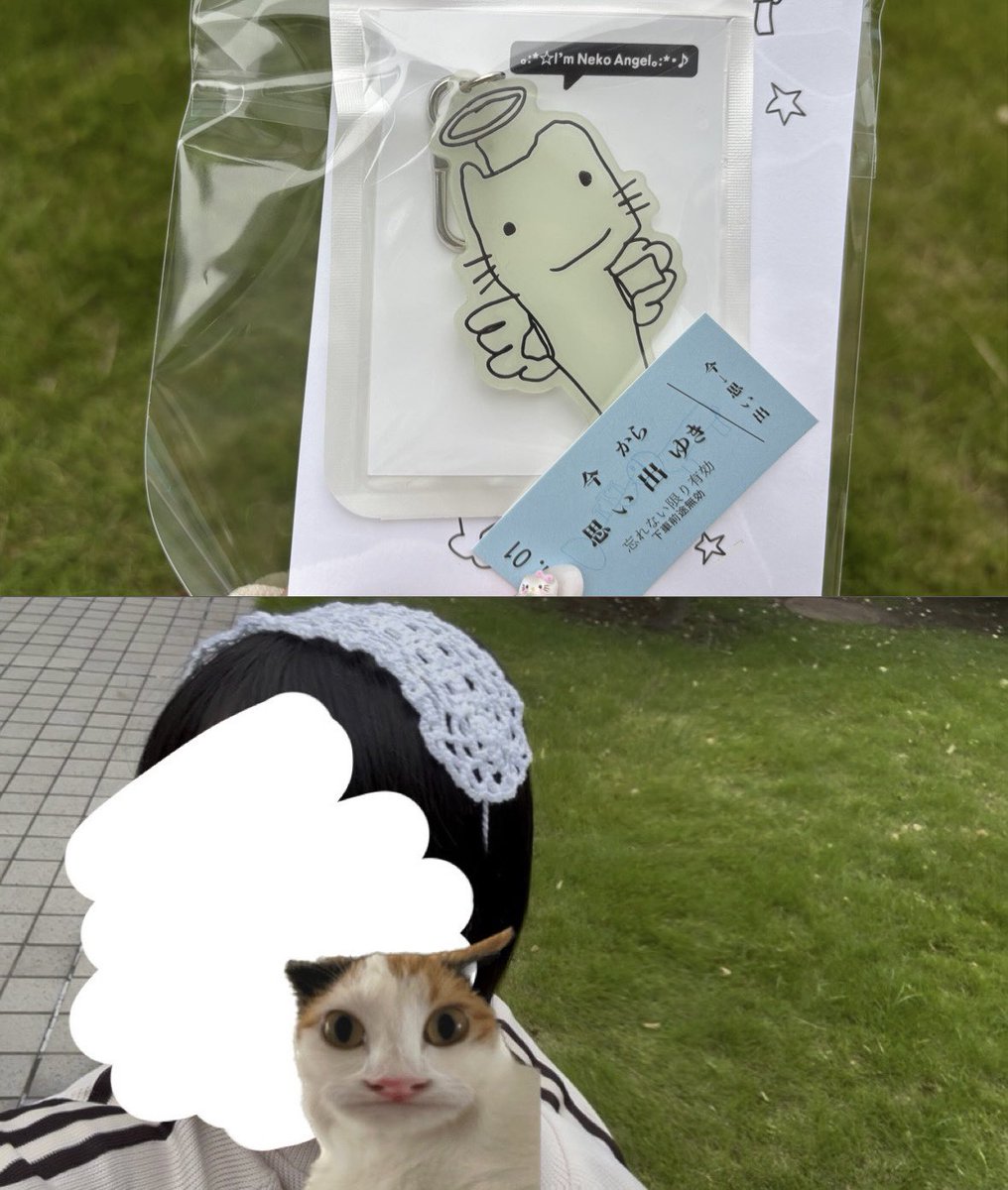 にゅ〜 tweet media