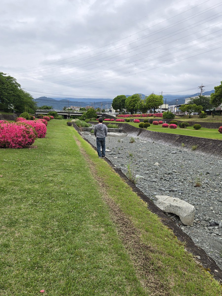 令凰(れいおう)🍀🕊️🌈 tweet media