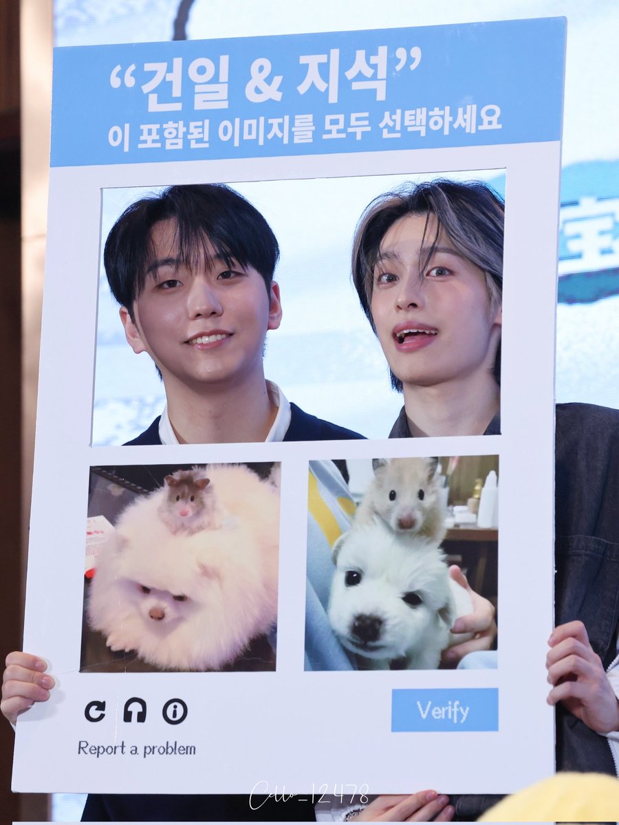 지유🐳 tweet media