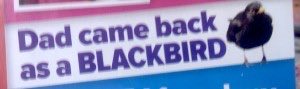 Old Internet tweet media