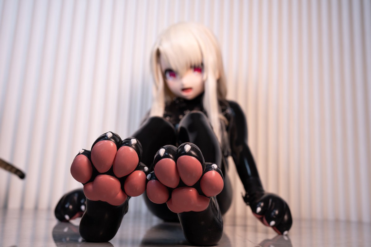 千葉昴_Kig🐾 tweet media