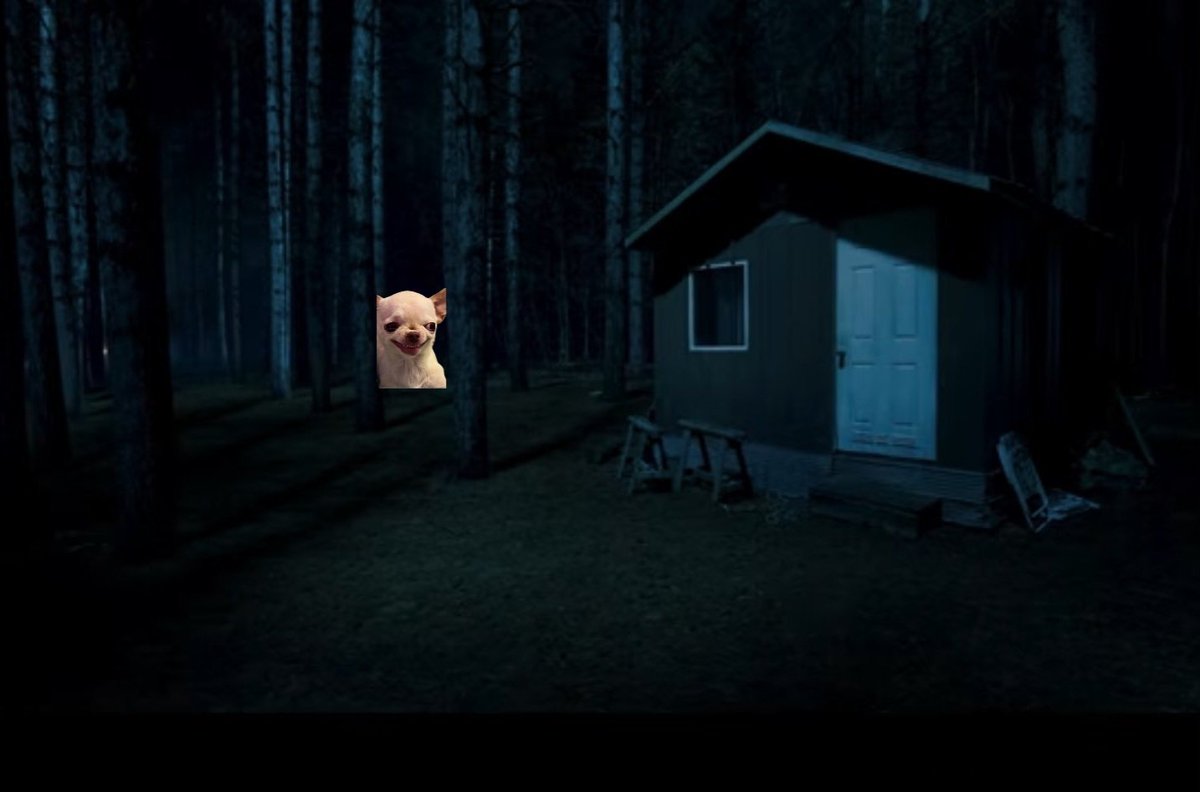 Moth Cryptid tweet media