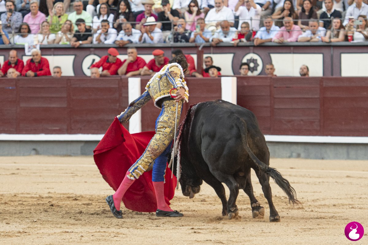 LSOlmedo's tweet photo. LAS  VENTAS | 22/05/2026 | 13ª de feria

'Un ‘Cantaor’ con suerte y un francés por soleares'

🖊️"que acaba rindiéndose cada vez que aparece un toro de verdad. Porque los toros que cambian una feria nunca se le van..."

@Mahierro en @cultorocom 

📖https://t.co/52AtXAlZyI https://t.co/wEfajLvYfd