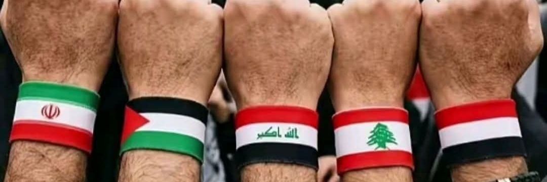 نجلاء. tweet media