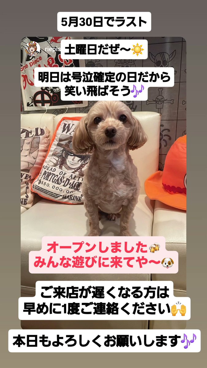 sawaD_0830's tweet photo. bar D

オープンしました😄

ご来店が遅くなる方は
早めに1度ご連絡ください🙌

本日もよろしくお願いします🎶

#ワンピース
#ワンピースバー
#アニメ
#アニメバー
#ワンピースカードゲーム
#ワンピカード
#ワンピース好きさんと繋がりたい
#バウンティラッシュ
#インボイス対応 https://t.co/5uHwfjXsj6