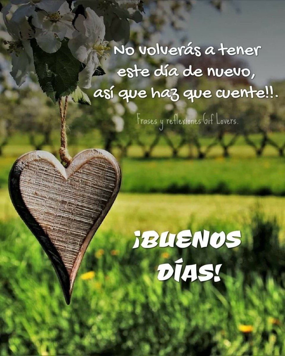 Miguel Quintero Diaz tweet media