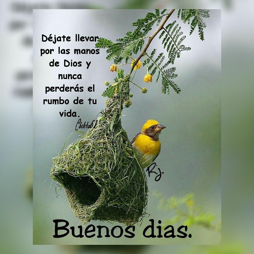 Miguel Quintero Diaz tweet media
