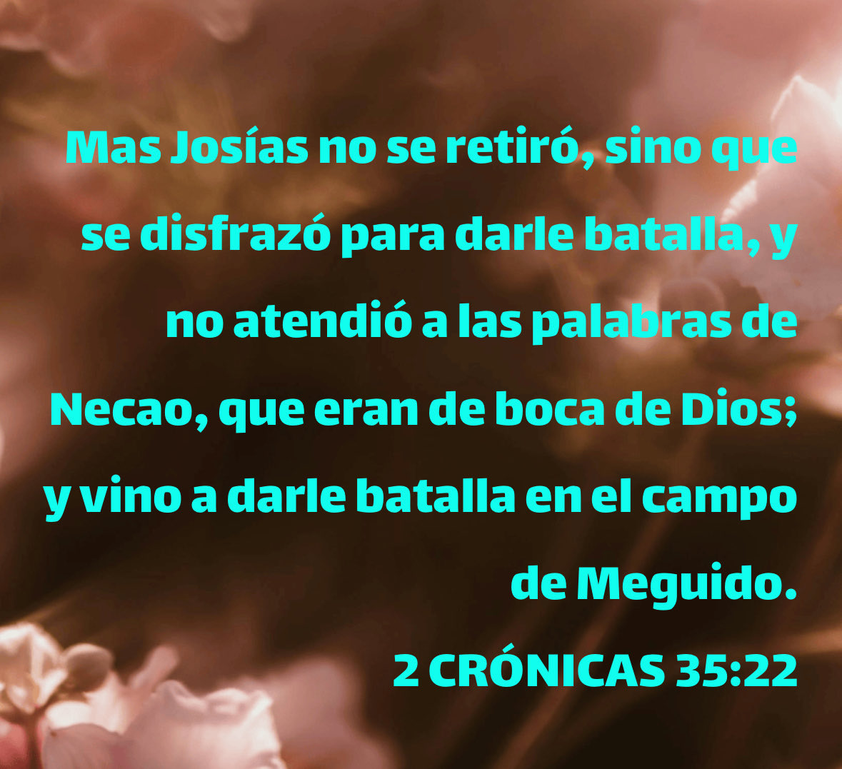 pasdarling's tweet photo. No necesitamos entrar en conflictos ajenos, no es sabio colocarte en la mitad de pleitos ajenos. Busca la paz y vivirás feliz #rpsp #PrimeroDios #Maranatha feliz sábado https://t.co/0a2EWbD8XS
