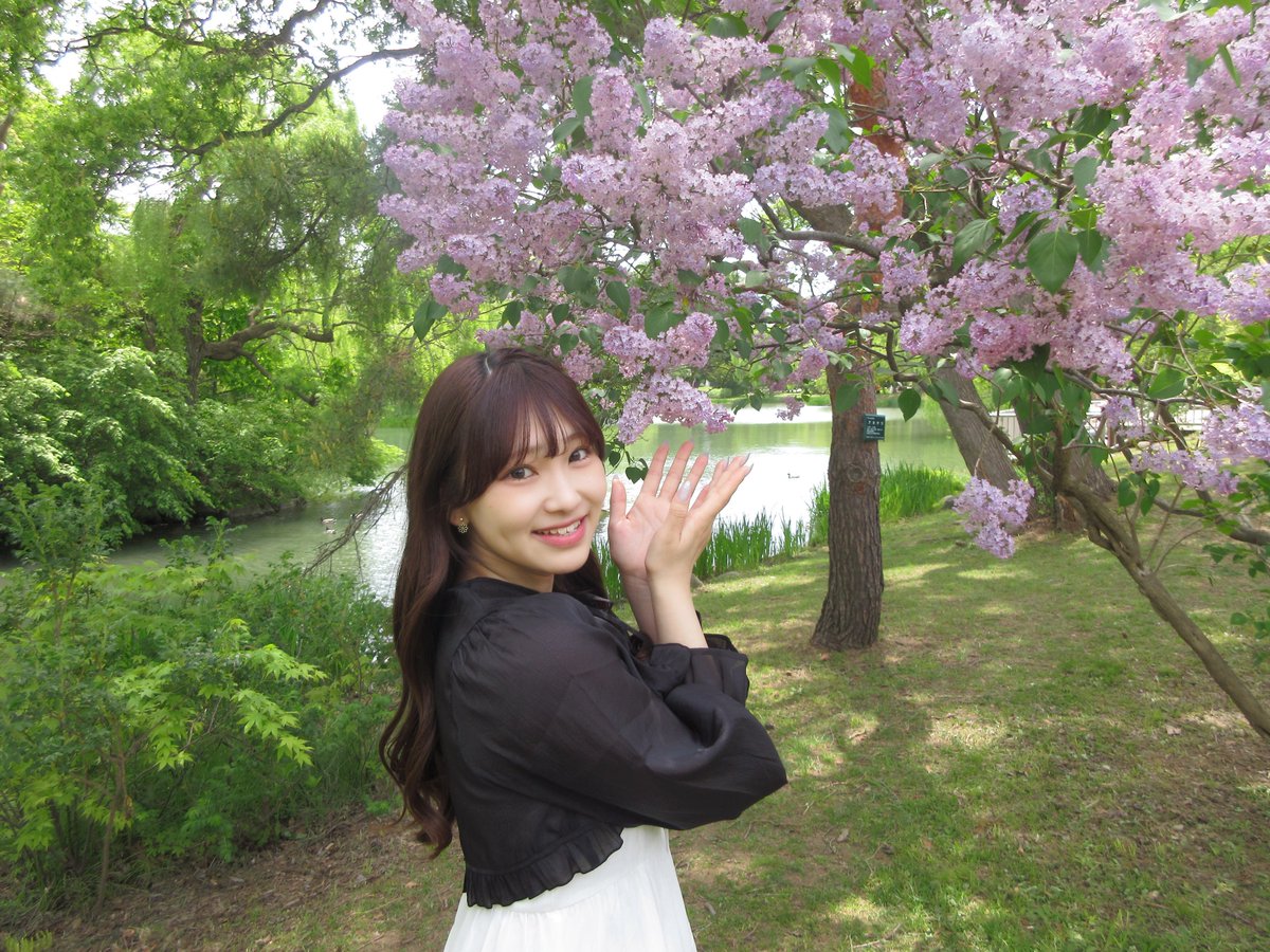 河合まい tweet media