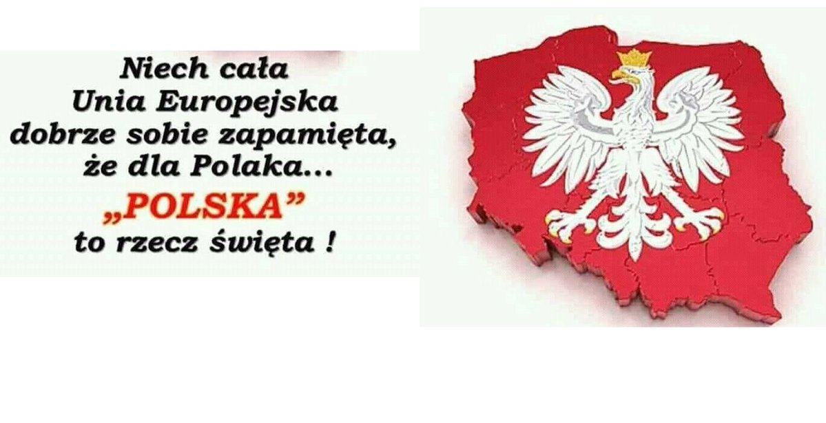 Niepokorny Polak tweet media