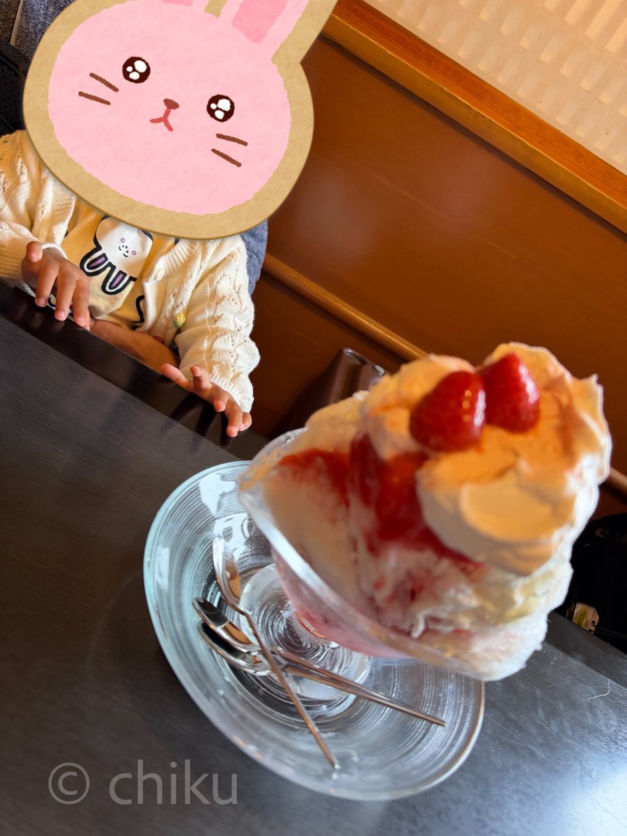 chiku🍀グルメとカメラ tweet media