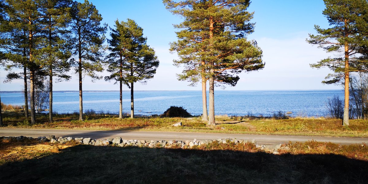 BorderLPO's tweet photo. @lakesrhino Good morning from northern Sweden 🇸🇪

Have a nice weekend https://t.co/DVBIC2d61o