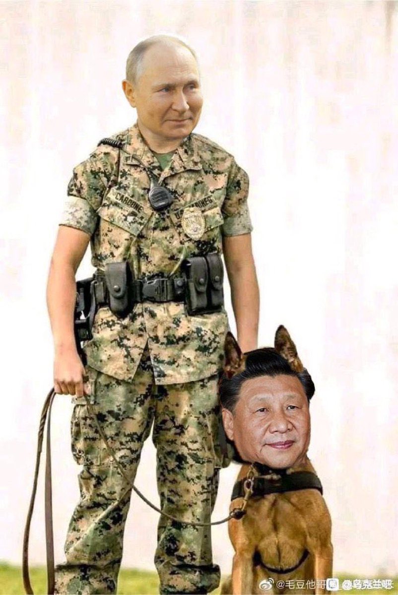 彭硕 SHUO PENG tweet media
