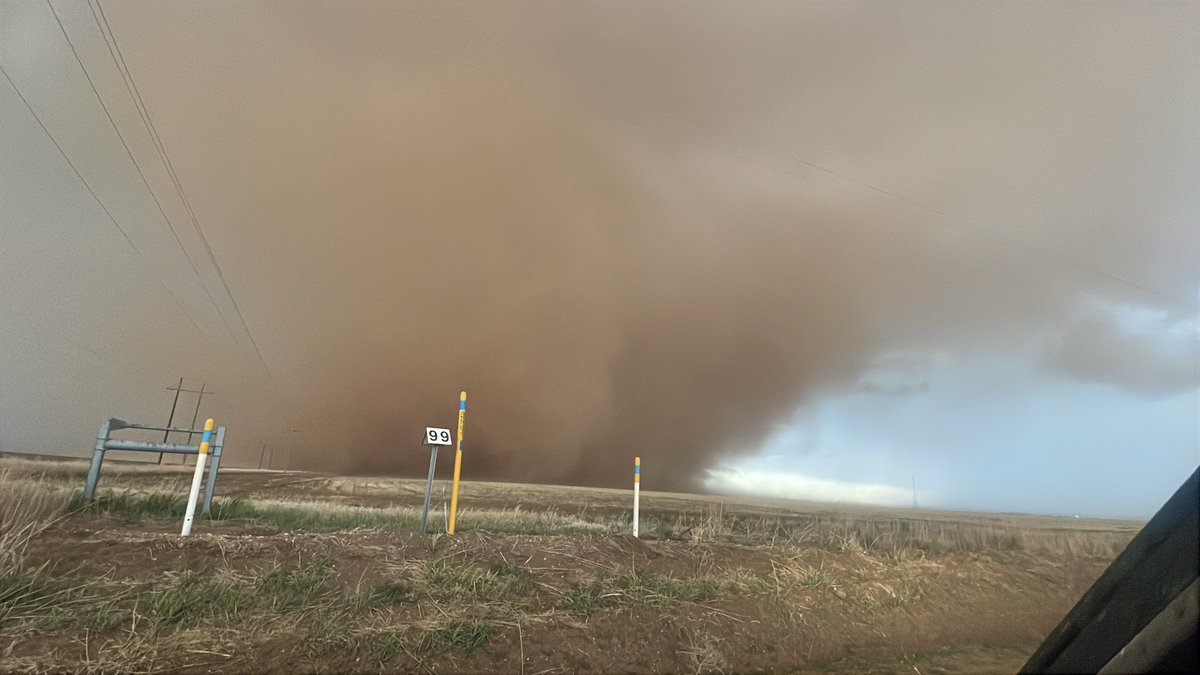 Sarah Kassabian 🌪️ tweet media