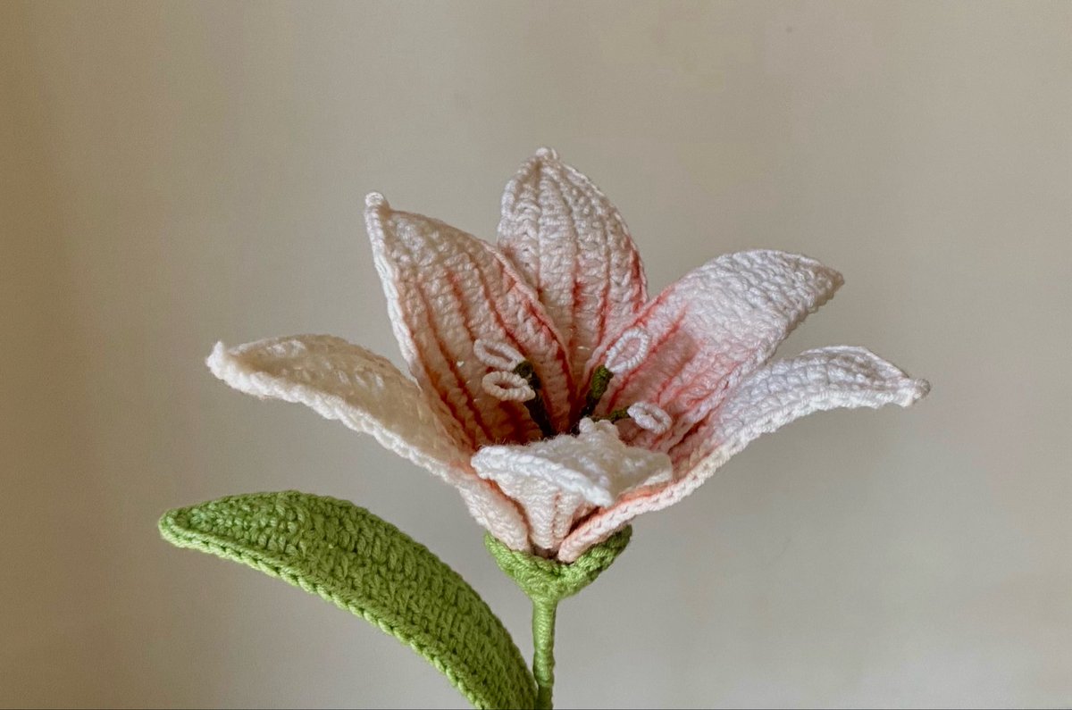 vchduu's tweet photo. سويت وردة ليليوم اخيييييرًا 🧶🌸 https://t.co/pawVurw19L