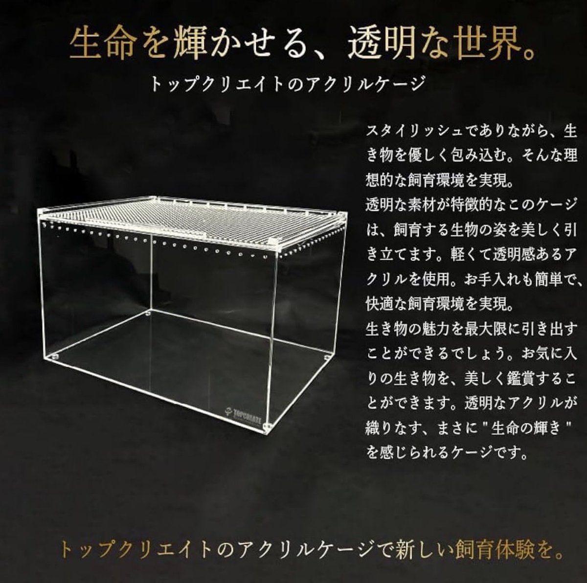 有限会社トップクリエイト(公式) tweet media