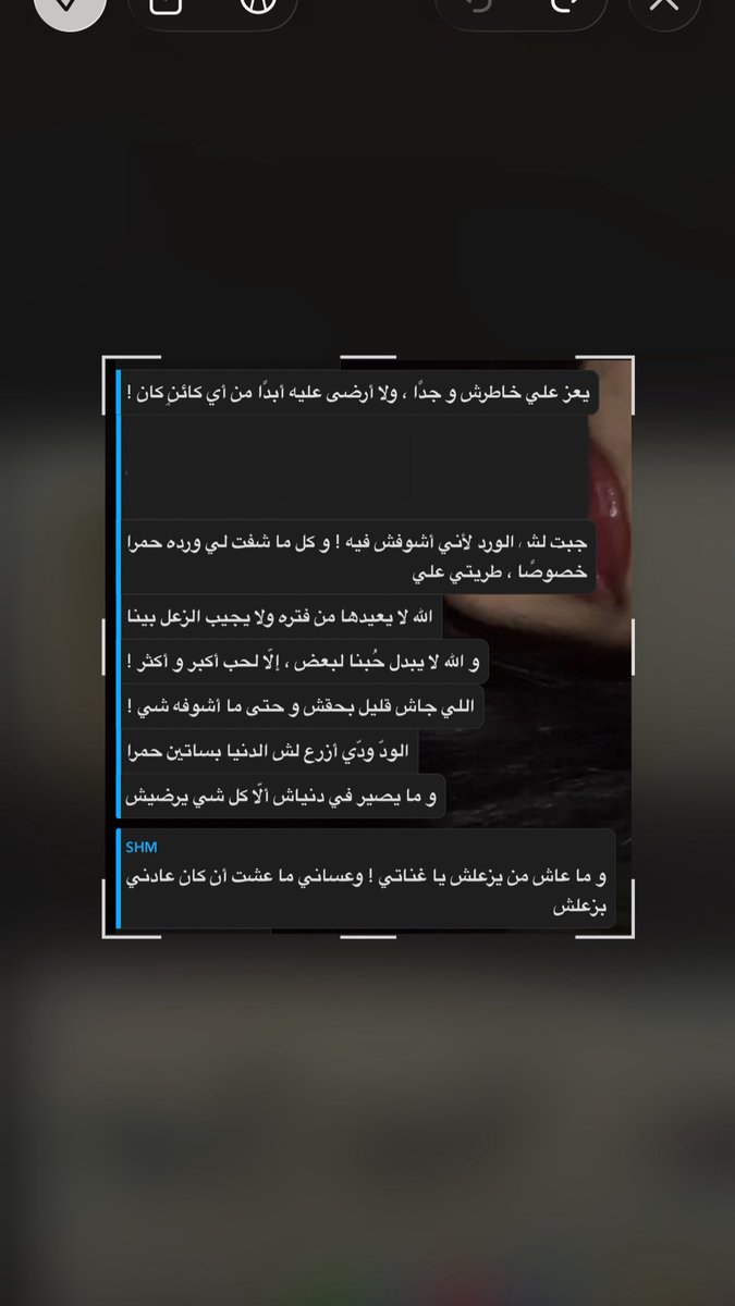 ✧ tweet media