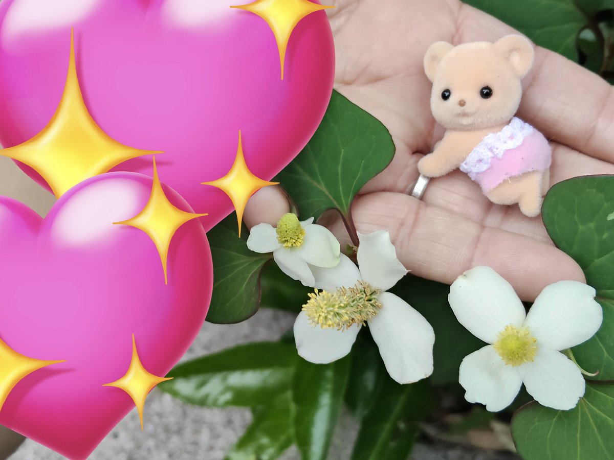 𝚎𝚖𝚞 🌻.⋆𝜗𝜚 tweet media