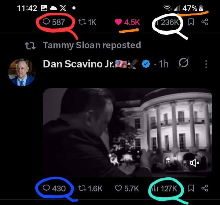 DeanDavis33's tweet photo. 😎4️⃣5️⃣ #FortyFive
✊️4️⃣7️⃣ #FortySeven
2️⃣3️⃣6️⃣ #TwoThreeSix
😏 #WhatAreTheOdds 😁
1️⃣2️���7️⃣ #OneTwoSeven
4️⃣3️⃣0️⃣ #FourThreeZero
5️⃣8️⃣7️⃣ #FiveEightSeven 🐇 https://t.co/Q9KVPSh0TR