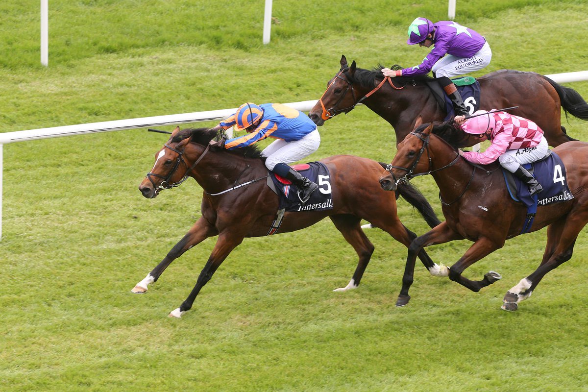 Coolmore tweet media