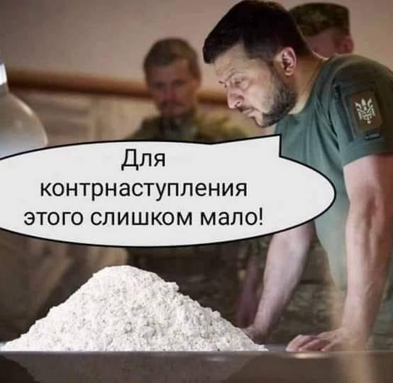 вано шаламов 8.0(მესხი) tweet media