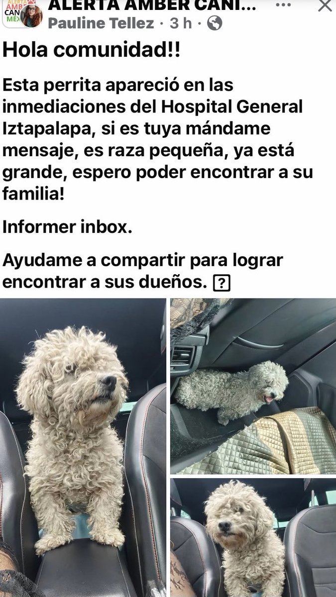 Dra Alejandra tweet media