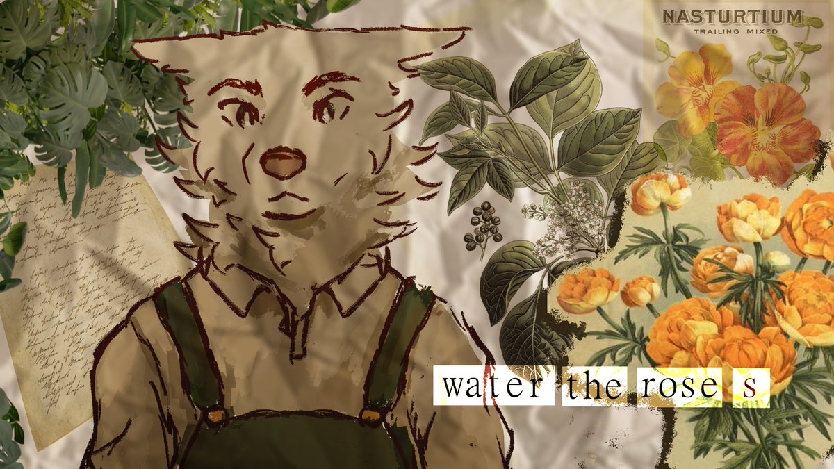 _Kirou_'s tweet photo. water the roses https://t.co/PjDnrabmZu