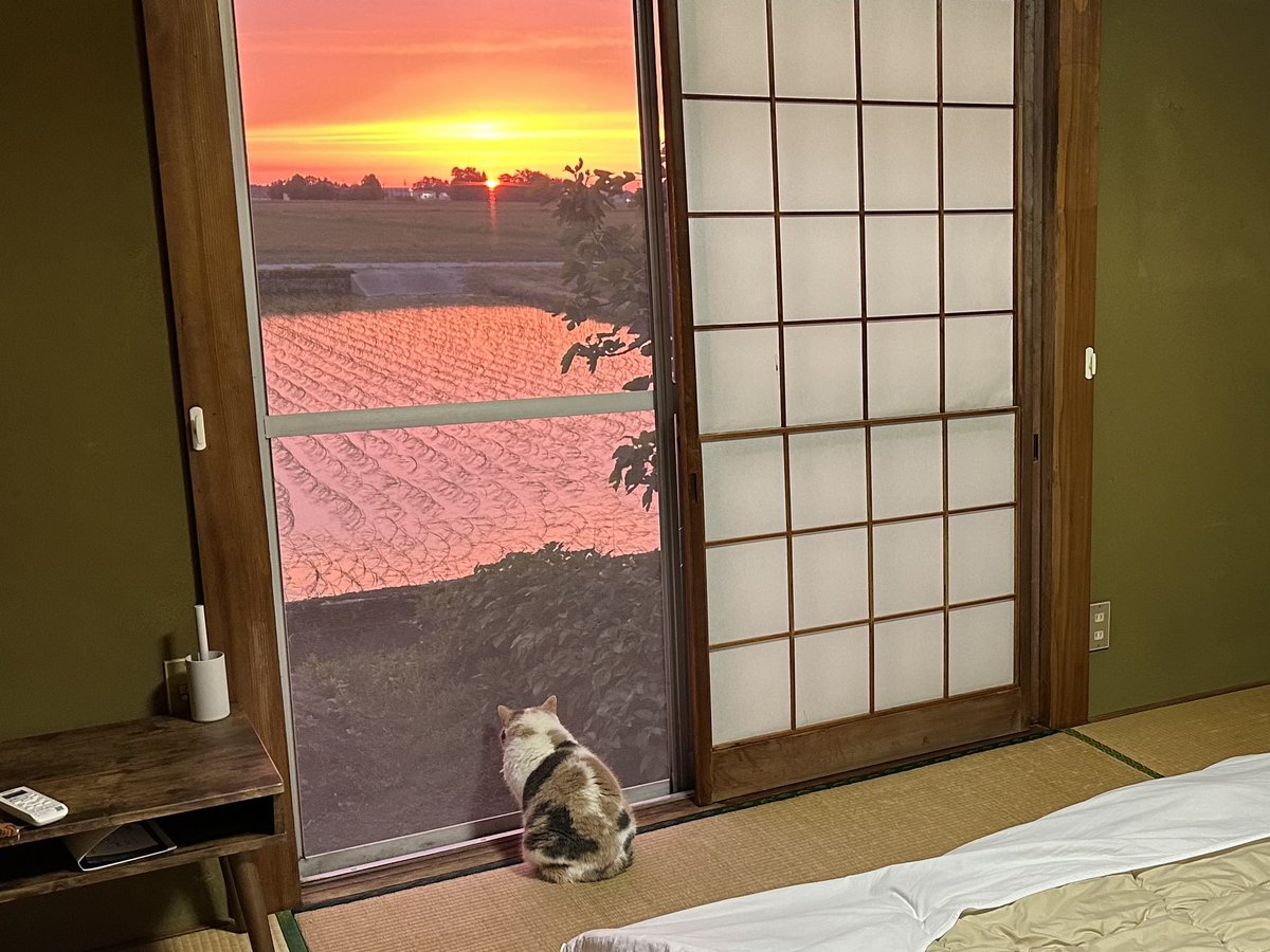 なつめ tweet media
