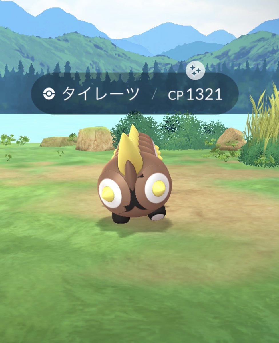 Pichu38545's tweet photo. 🤎💛タイレーツの色違い💛🤎

#ポケモンgo色違い
#ShinyFalinks https://t.co/V7QKnorqCA