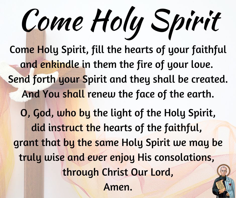 St Maximilian Kolbe tweet media