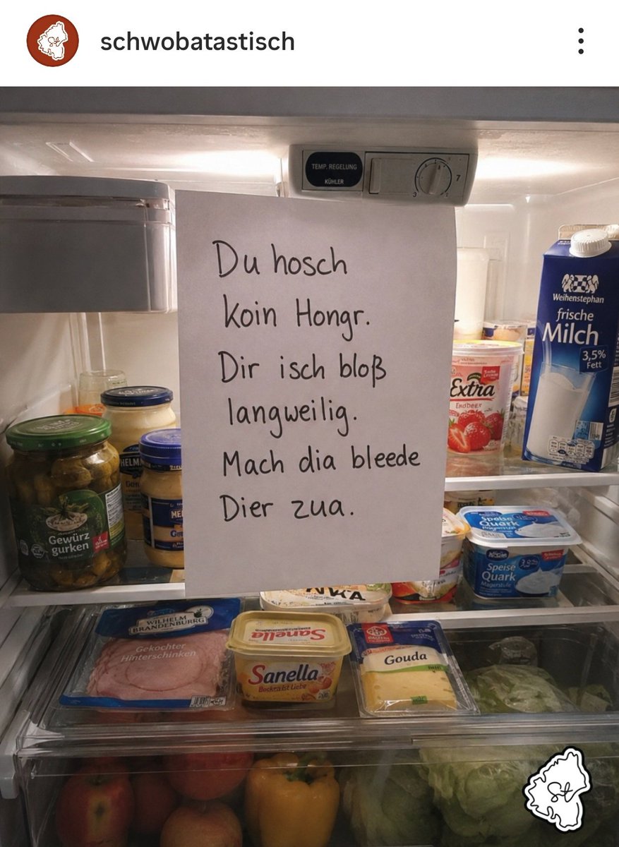 ксюгномка🧚🏻♀️🐕🕷️🇩🇪 tweet media