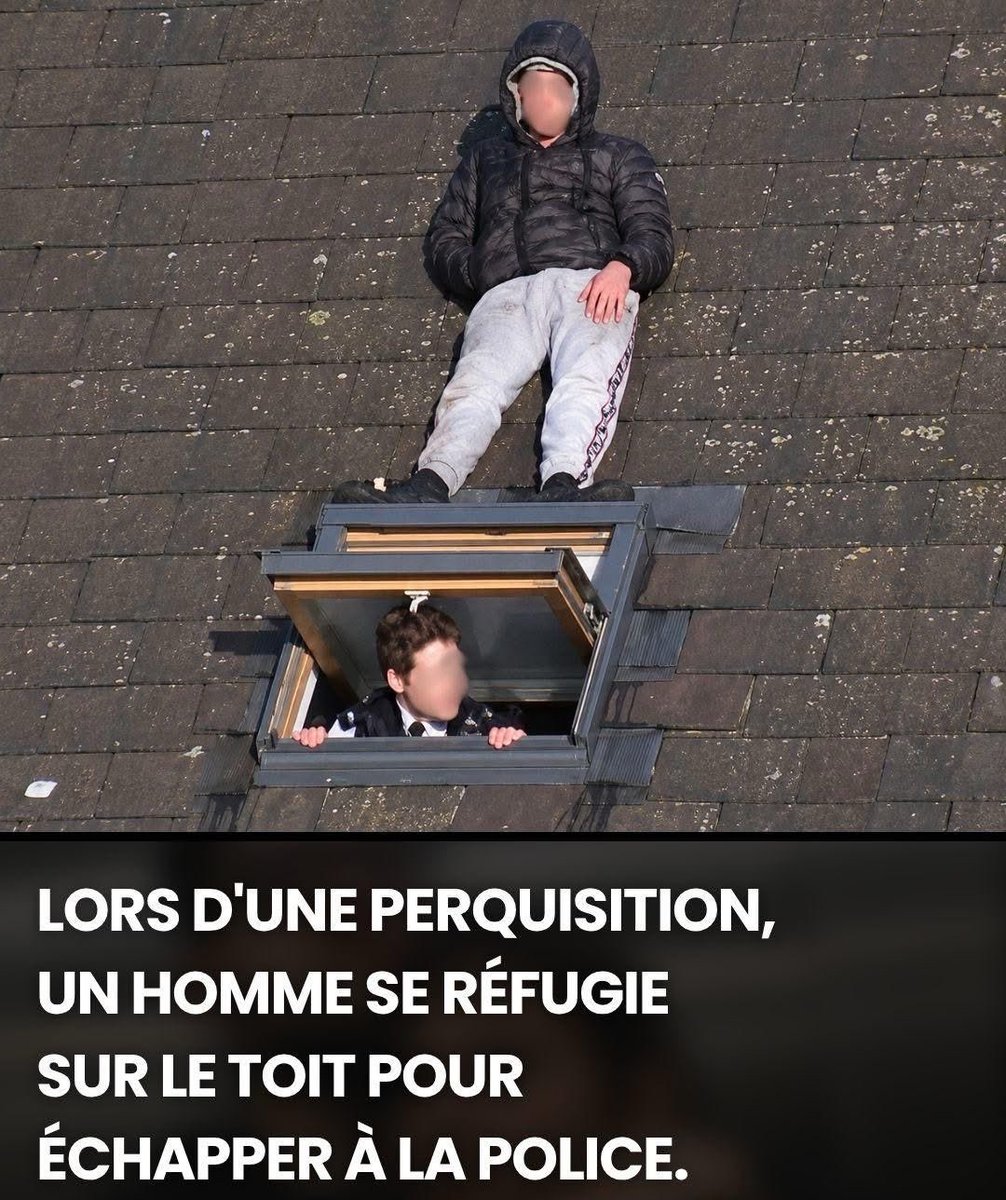 - Le Direct Info 🔴 tweet media