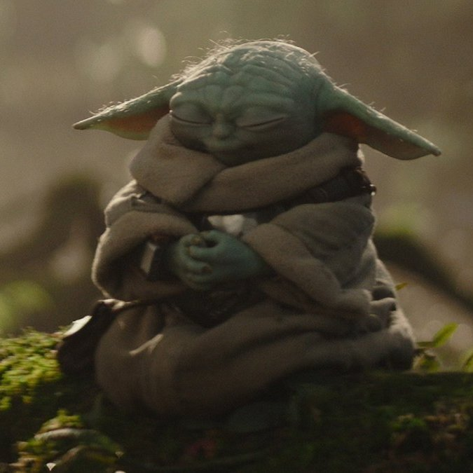 Padme’s Order tweet media
