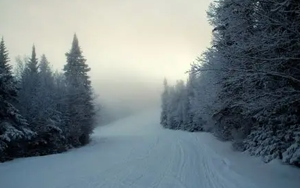 carlball335528's tweet photo. [ OPEN INTERACTION ]

{ You found yourself in a snowy forest... There seems to be a path thankfully. though...you think you should go back. Should you? or will you continue? } https://t.co/CEIJUhh4qj