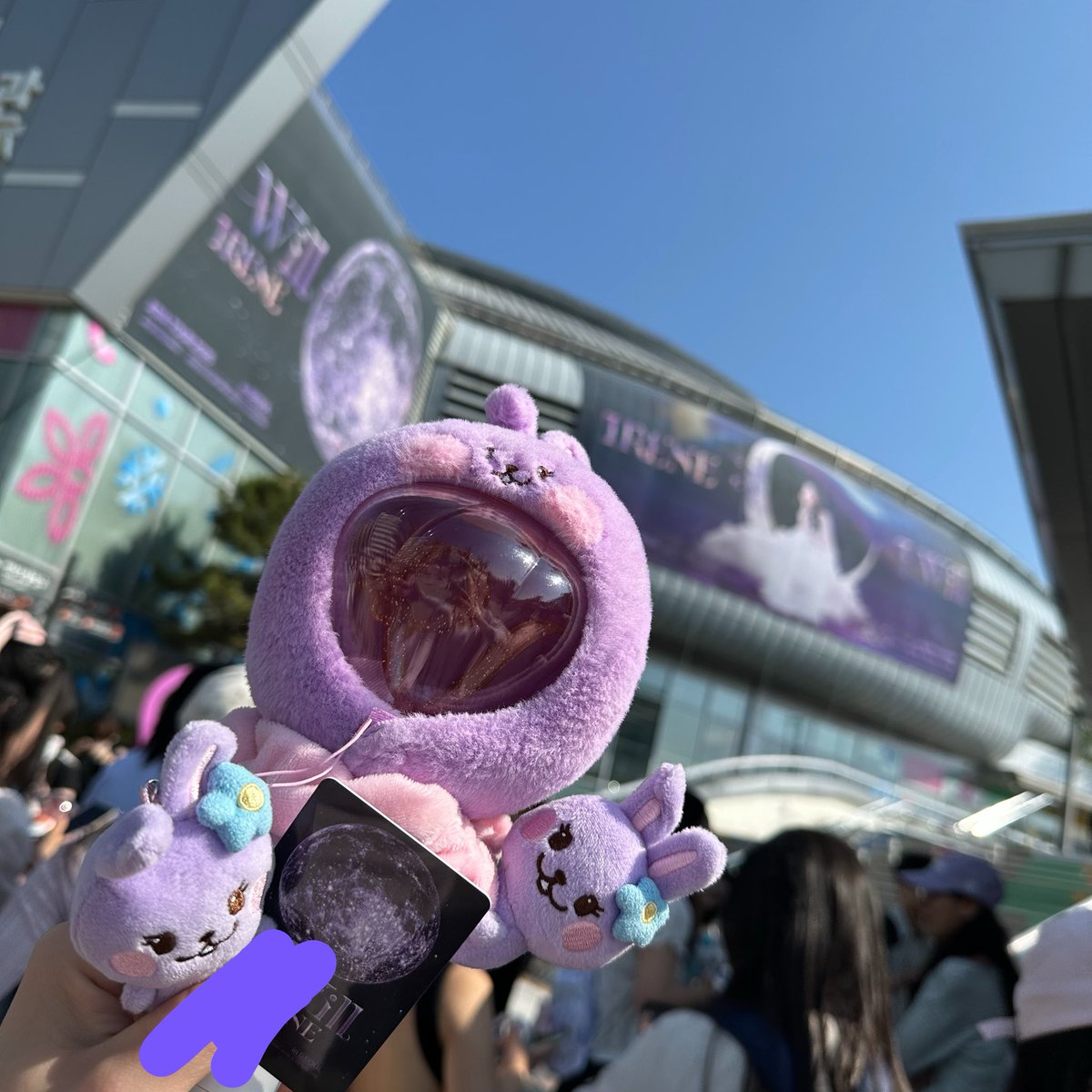 てん🌷🐰 tweet media