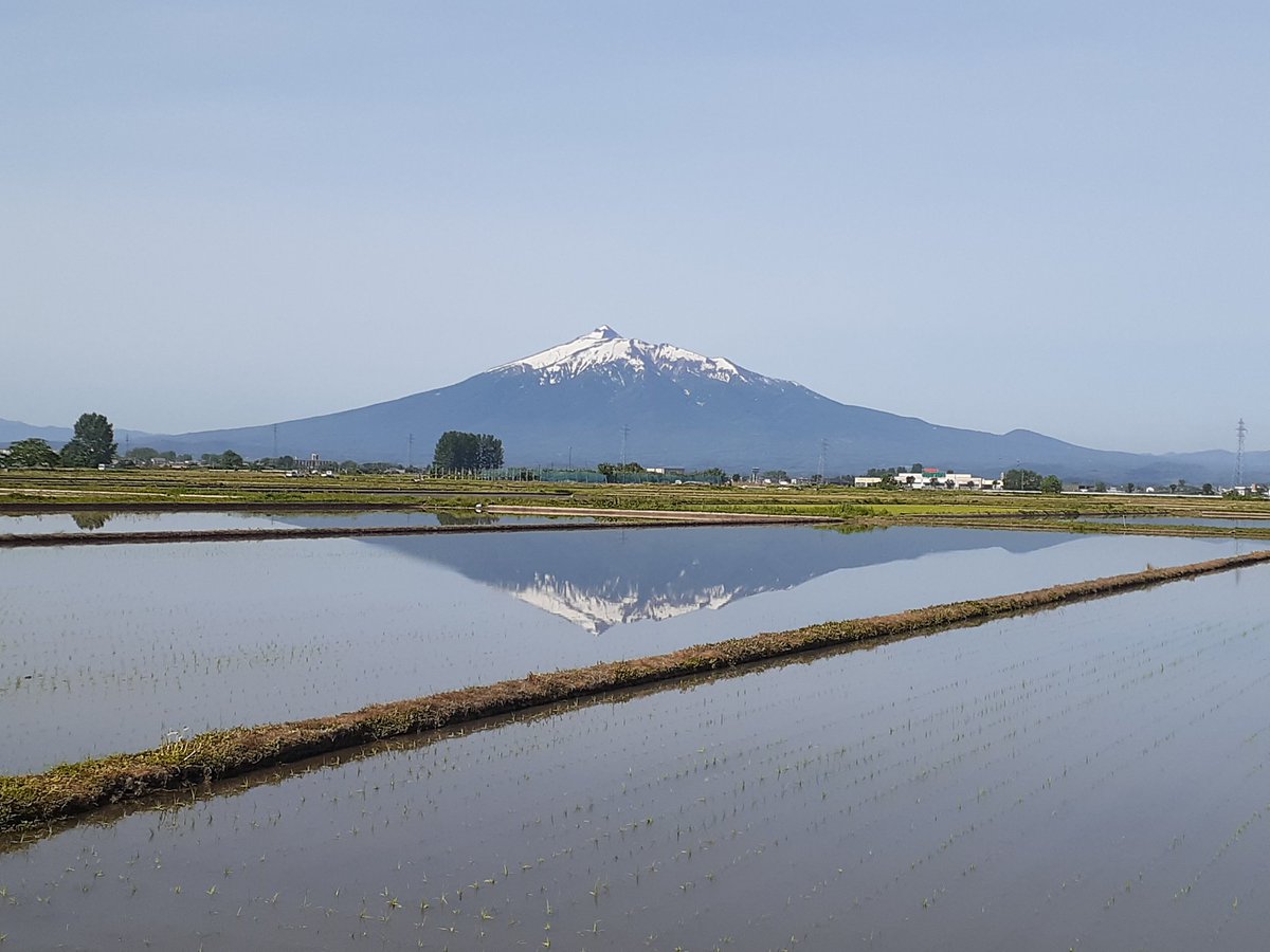 Seabasser's tweet photo. 田植え https://t.co/dbUheycREr