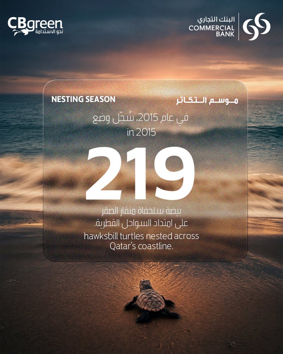Commercial Bank tweet media