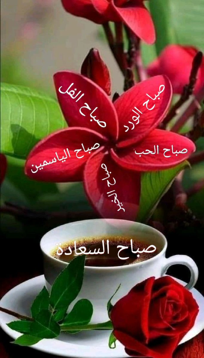 رسيل صوت الروح🎙𝓩𝓲𝓵𝓵 𝓤𝓷𝓽𝓱𝓪 tweet media