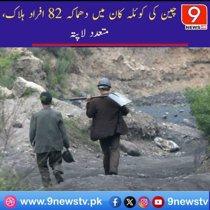 9News tweet media