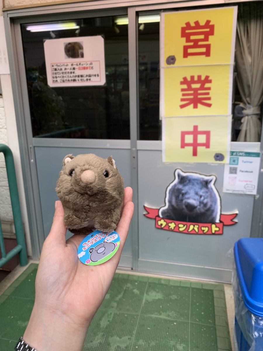 あまなつ tweet media