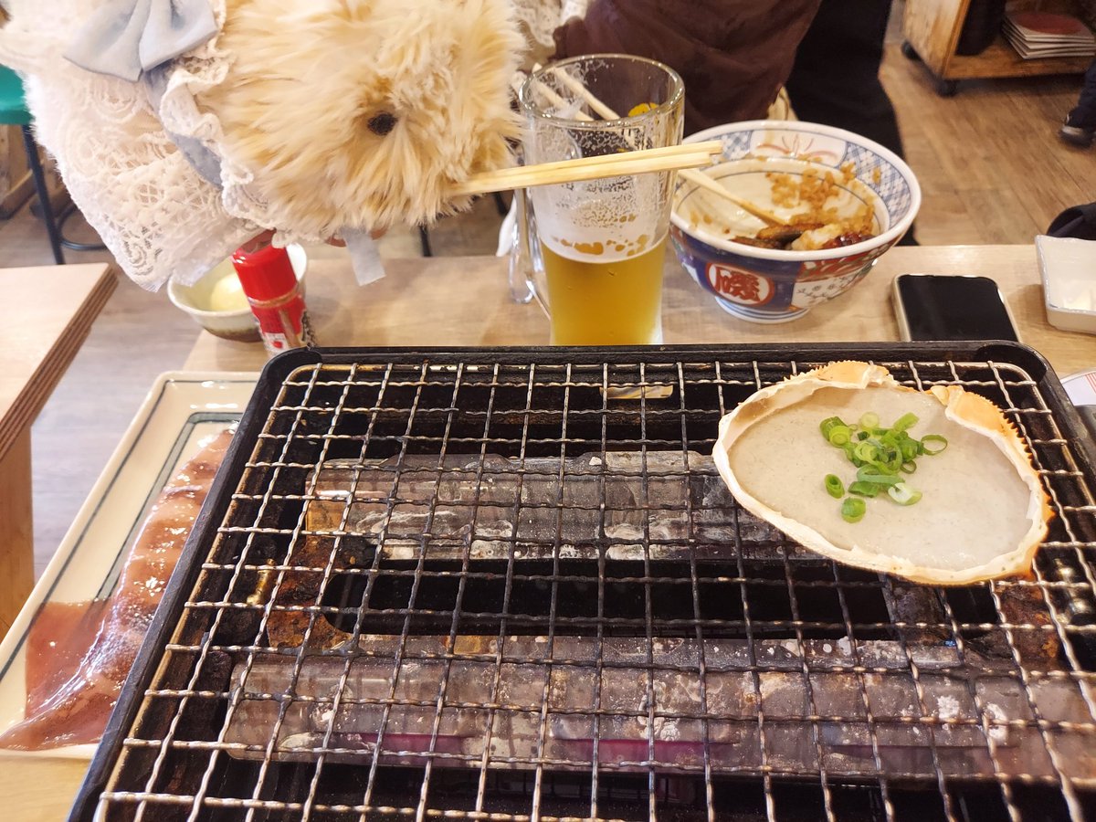 ひでやと妻とモフリンのきなこ tweet media