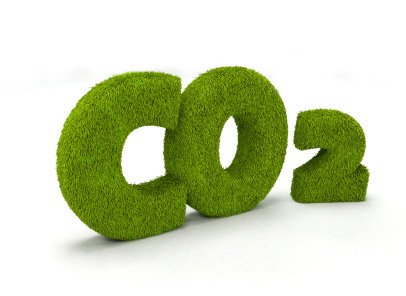 pientka_marleen's tweet photo. Houtverbranding is niet groen, nooit. https://t.co/jKzgx4s2GO