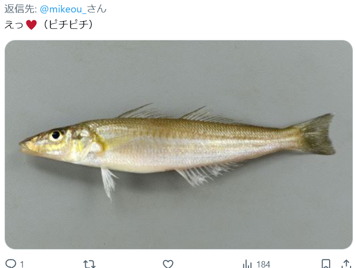 みけおう tweet media