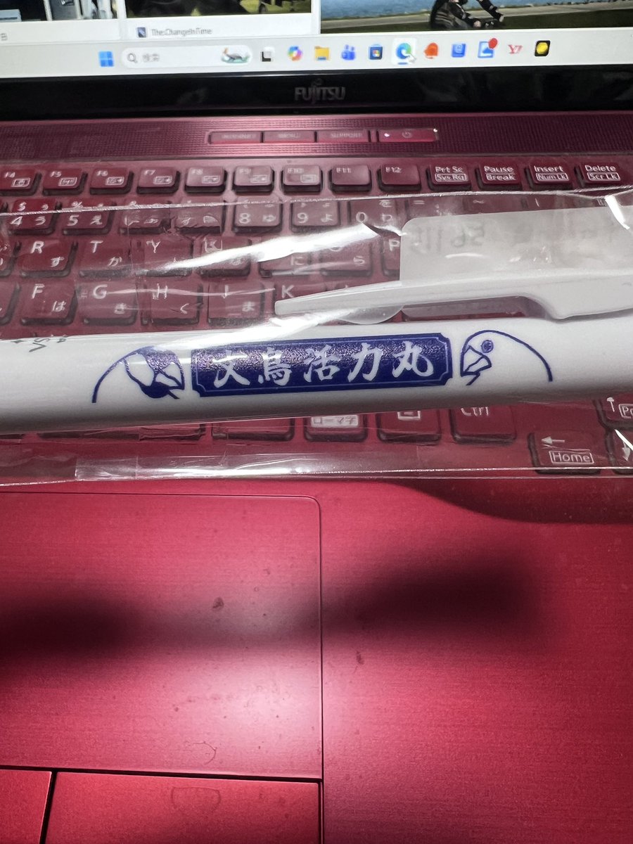 ボールペンも買ってた