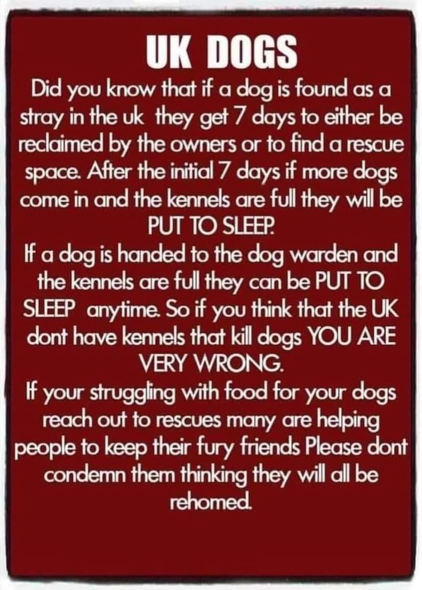 Animal Adoptions UK 🐕🦺🐈🐎❤️ tweet media