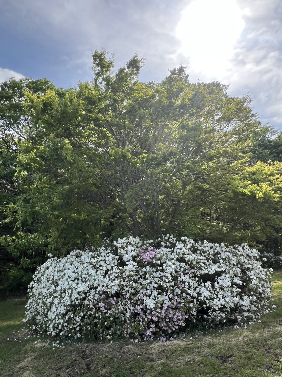 那須どうぶつ王国｜栃木観光・動物園 tweet media