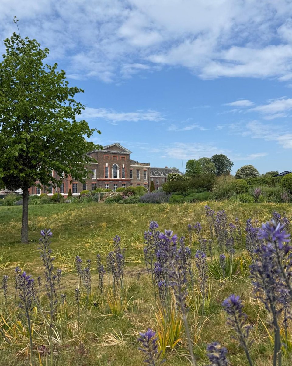 HRP_palaces's tweet photo. Who's ready for a sunny Bank Holiday weekend? ☀️ We most certainly are across our palaces 🏰 

Let us know if you'll be paying us a visit over the long weekend! 👇 

📍 The Tower of London, Hillsborough Castles and Gardens, Kensington Palace and Kew Palace. https://t.co/Oemj4gXiHC