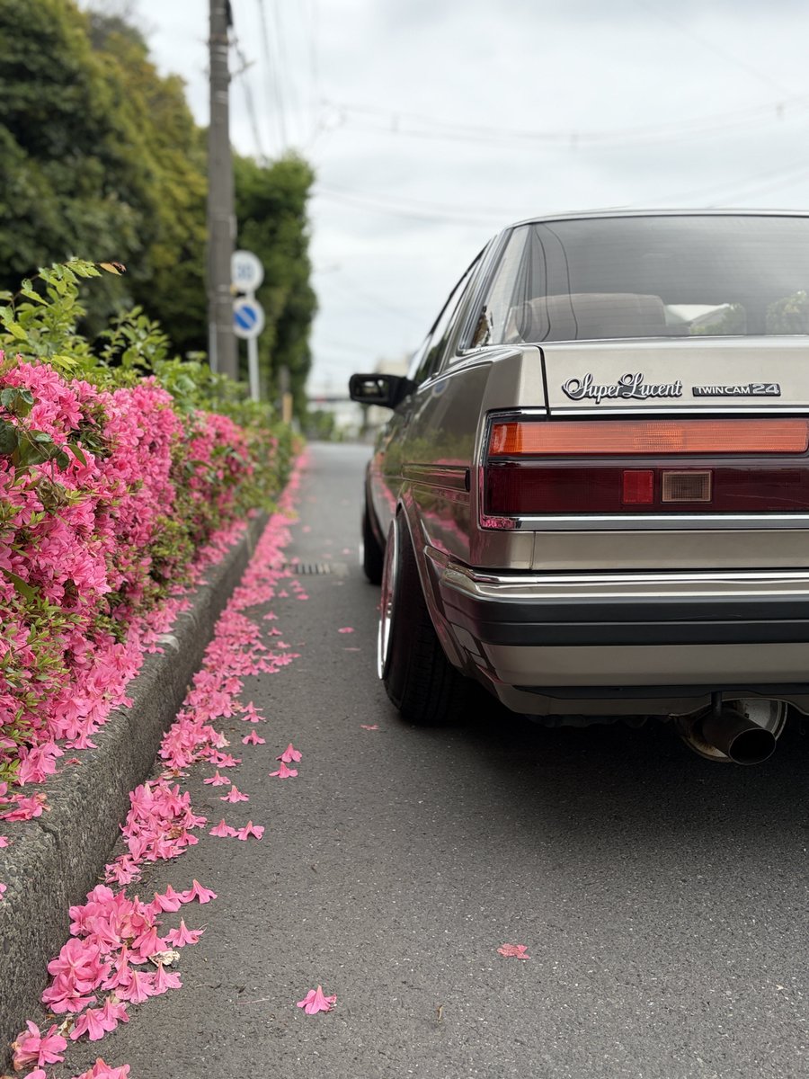 superray0ly's tweet photo. デフ入れたくなってきた https://t.co/aEFhXpQiAm