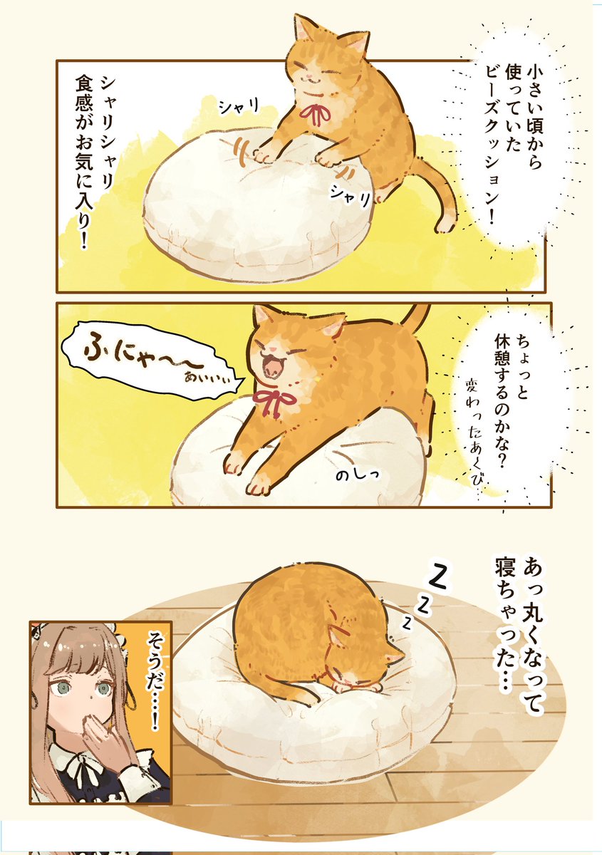 oimo_imoo's tweet photo. モーニングプレートの完成？🐈🍳🍞(1~4)
 #猫とコーヒーときどき紅茶 https://t.co/iUIMasxWqx