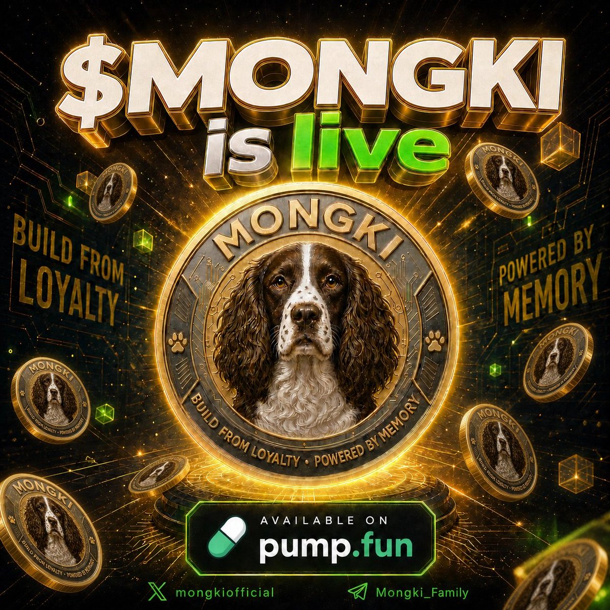 Mongki Official tweet media